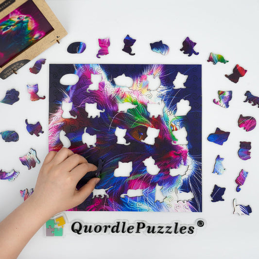 Katt i färgexplosion