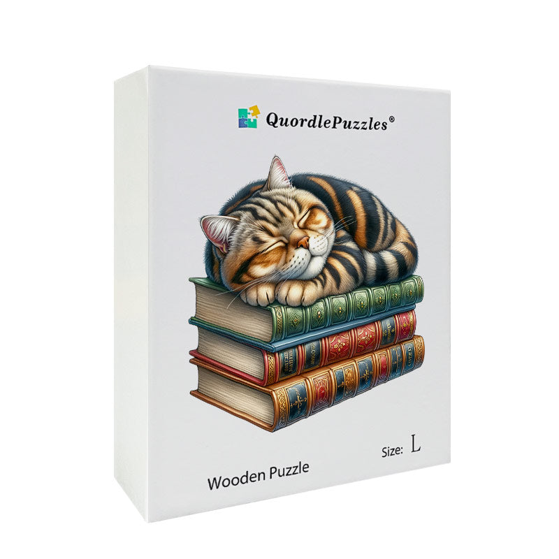 Bibliotek Katt Clipart