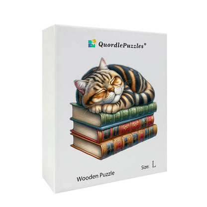 Bibliotek Katt Clipart