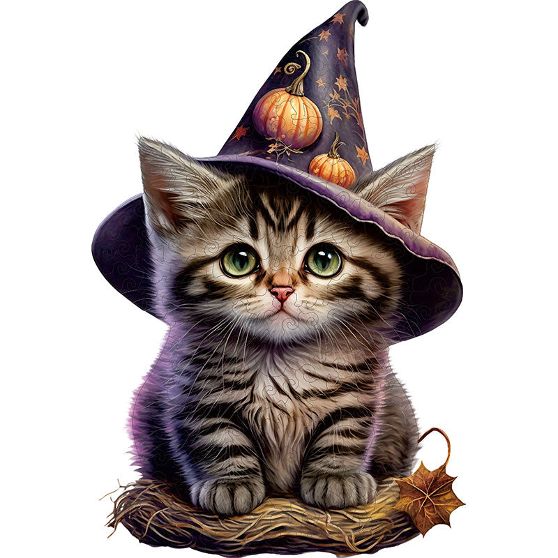 Söt kattunge och Halloween-pumpa